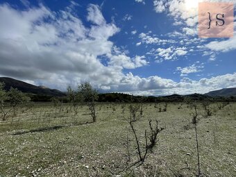 Prodej, pozemek, 4 000 m, , , Česko - 3