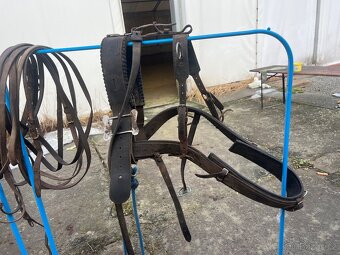 Dva postroje na poniky - 3