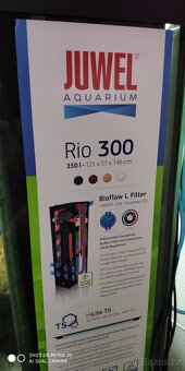 Akvarium JUWEL Rio 300 - 350 litrů + ryby Tlamovec 40kusů - 3