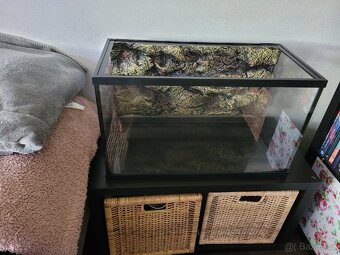Prodám terárium rozmery 30na60cm - 3