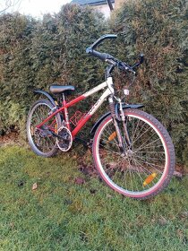 Dětské horské kolo Madison Buffalo 24" - 3