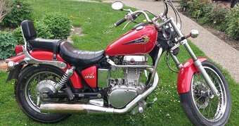 Suzuki Savage LS 650 P - 3