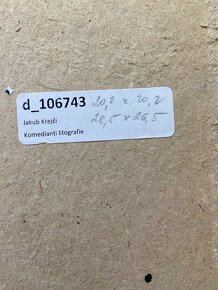 Jakub Krejčí litografie Mořský Harlekýn V ráji - 3