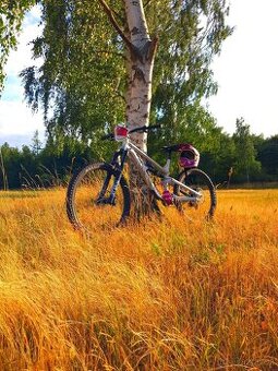 Prodám Canyon Torque Mullet AL 7 (XL) – téměř nové, FOX 38 + - 3