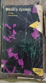 Mix knih, 30 kč/kus - 3