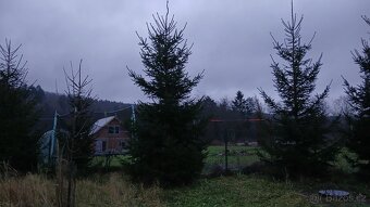 Vánoční stromek do 5 m - 3