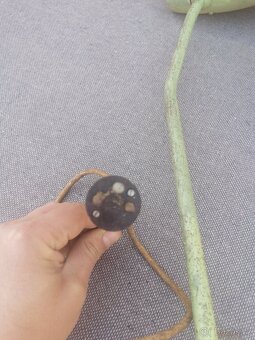 Staré lampy - 3