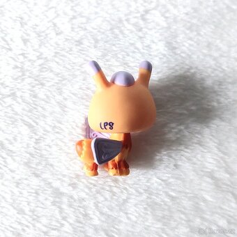 LPS Littlest Pet Shop - Včelka #1307 s doplňkem - 3