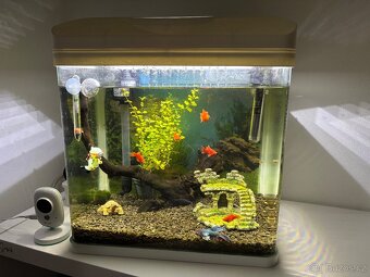 Akvárium - 30 litrů s filtrací. - 3