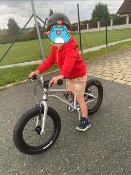 Early rider seeker 16 - 3