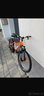 Panda Superior 24" - 3