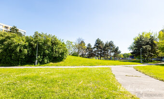 Pronájem bytu 2+kk, Bachova, Chodov, 40 m2 - 3