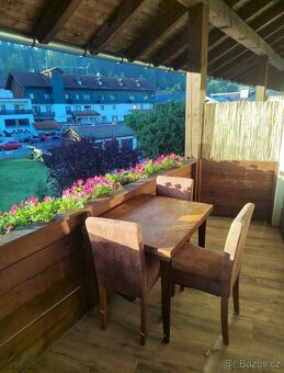 Pronájem apartmánu Bavorská Ruda - 3