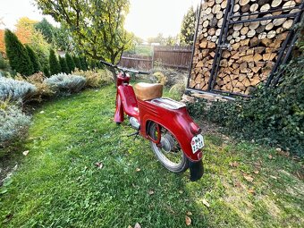 Jawa 555 pařez - 3