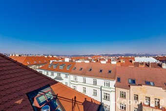 Výjimečný dvoupatrový loftový byt o rozloze 204 m s jedinečn - 3