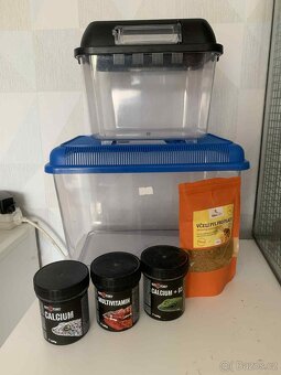 Terarium pro chameleona + vybavení - 3