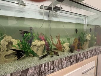 akvarium se vsim - 3