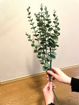 2 kusy eucalyptusu/ nove 190,- za oba - 3