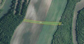 Zemědělská půda, prodej, Borkovany, Břeclav - 3