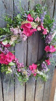 Růže drobnokvětá růžová - 3