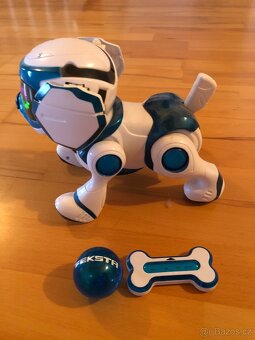 roboticky pes Teksta - 3