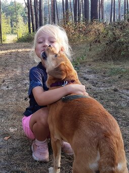PINGI K ADOPCI - akční veselý mazel, vhodný k dětem - 3