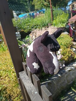 Hobby horse - 3