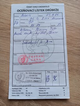 Sebritky - 3