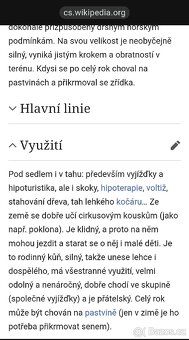 Charakterní valach Hucul - 3