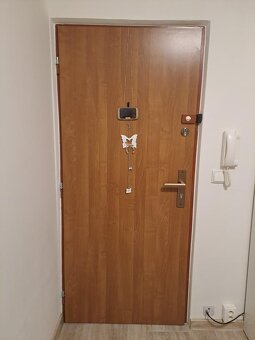 Vchodove dveře - 3