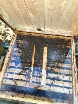 Vyzimované včely - 3