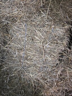 Nabízím slámu - 3