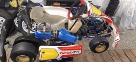 Zavodni motokara Birel ART EASYKART 60 - 3