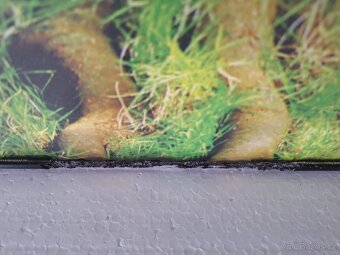 Terárium 100x40x40cm - 3