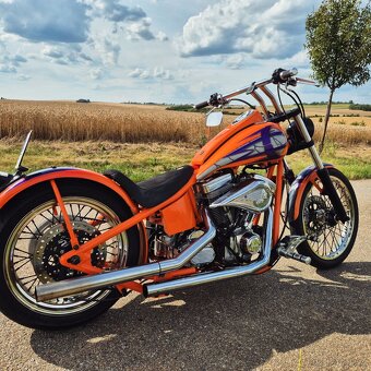 Indian, Harley Davidson - 3