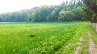 Stavební pozemek v obci Stavenice - 3