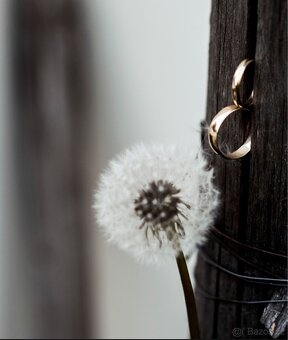 Svatební fotografie - 3