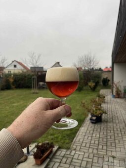 Brewmonk b40 wifi - 3