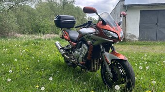 Yamaha 1000 FZS - 3