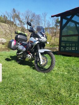 Suzuki xf 650 freewind - 3