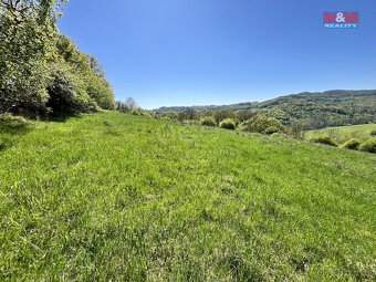 Prodej louky, 21830 m², Malšovice - Hliněná - 3