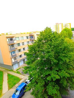 Pronájem bytu 1+kk 32 m² Lumírova, Ostrava - Výškovice - 3