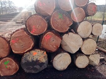 Maxi modřínové trámy - 3