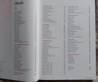 Nová velká kniha o mateřství - 3