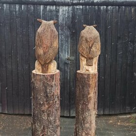 Sova motorovou pilou - 3