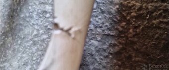 Spoiler MAN TGS na prodej - 3