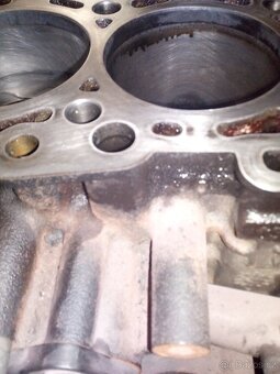 motor 1.9 tdi 77kw bls, - 3