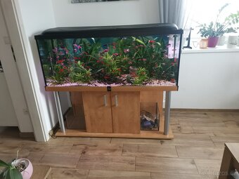 Akvarium diversa 450l - 3