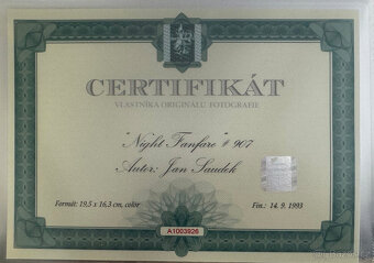 Jan Saudek - Night Fanfare - 3