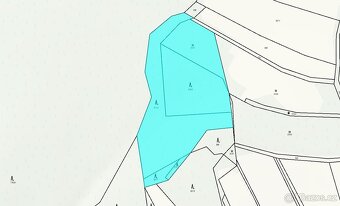 Prodej, les, 11901m2, Drozdov - 3